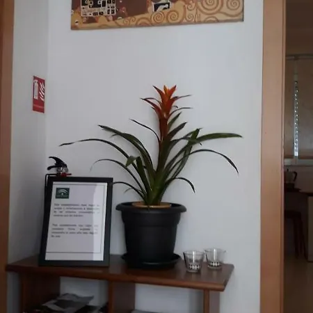 Apartment Sol Y Confort
