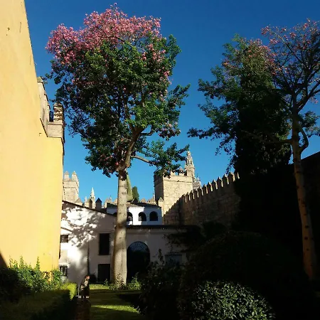 Sol Y Confort